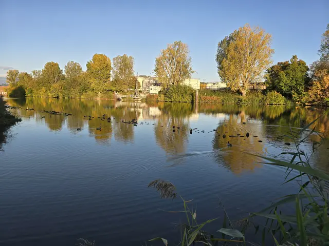 Foto: Heidrun Rosenberger