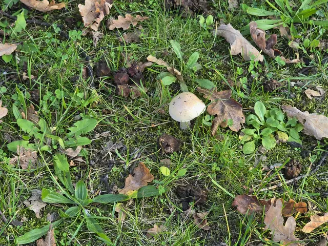 Foto: Heidrun Rosenberger