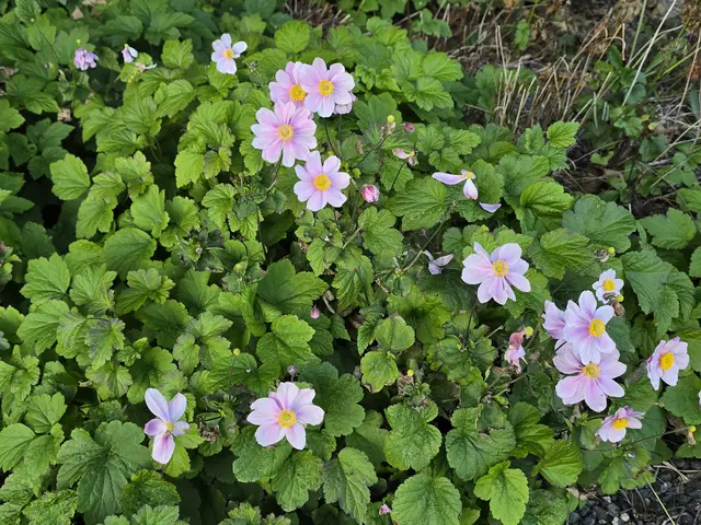 Foto: Heidrun Rosenberger