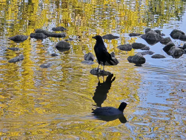 Foto: Heidrun Rosenberger
