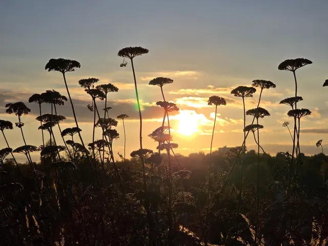 Foto: Heidrun Rosenberger