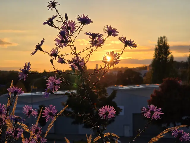 Foto: Heidrun Rosenberger