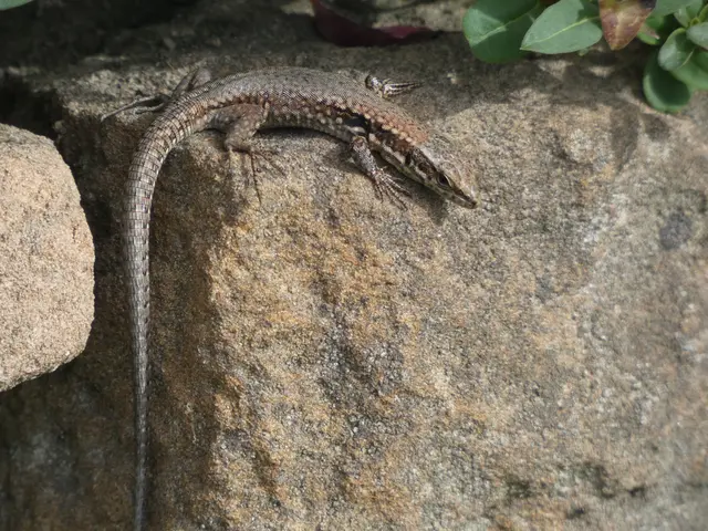 .... und noch eine :-) | Foto: sigischlottke