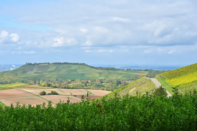 Rückblick zum Scheuerberg.  | Foto: Michael Harmsen