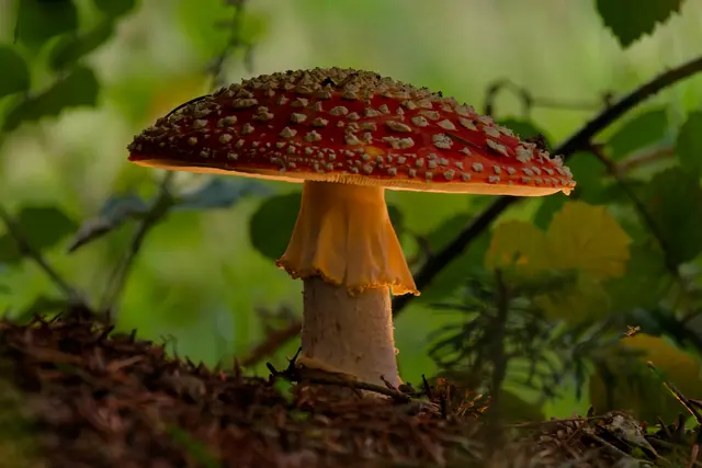 Foto: Eigenes Bild TB