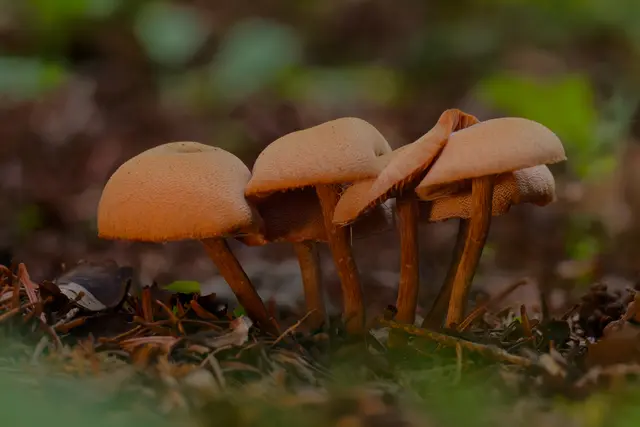 Foto: Eigenes Bild TB