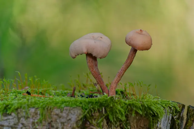 Foto: Eigenes Bild TB