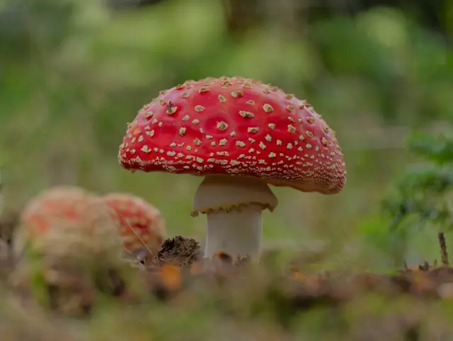 Foto: Eigenes Bild TB