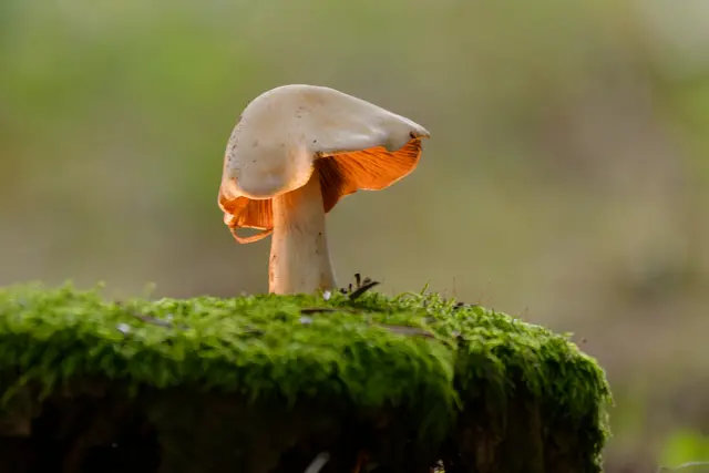 Foto: Eigenes Bild TB