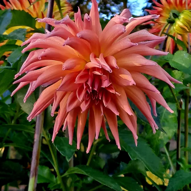 Foto: Eduard Warenik