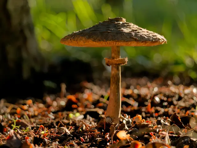 Foto: Eigenes Bild TB