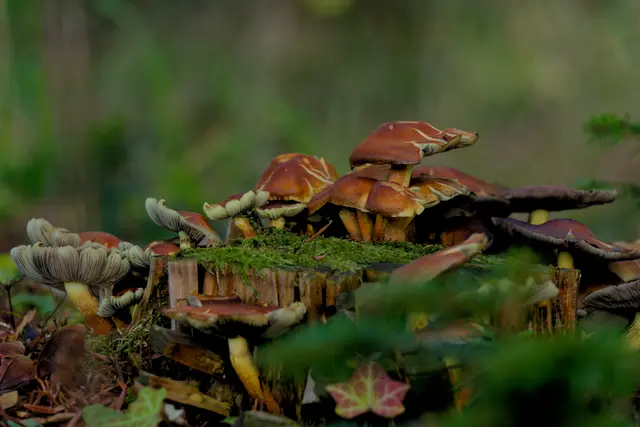 Foto: Eigenes Bild TB