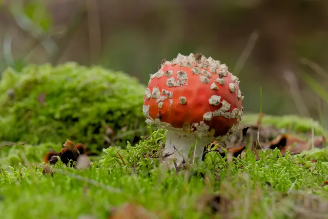 Foto: Eigenes Bild TB