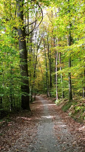Wenige Sonnenstunden nur, aber ein herrliches Licht | Foto: WandernGabyErich