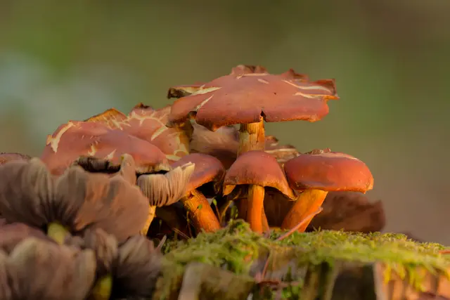 Foto: Eigenes Bild TB