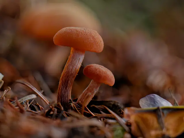 Foto: Eigenes Bild TB