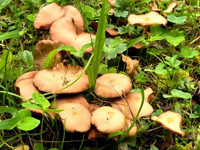 Foto: Heidrun Rosenberger