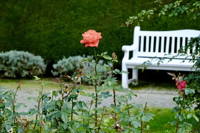 Foto: ED