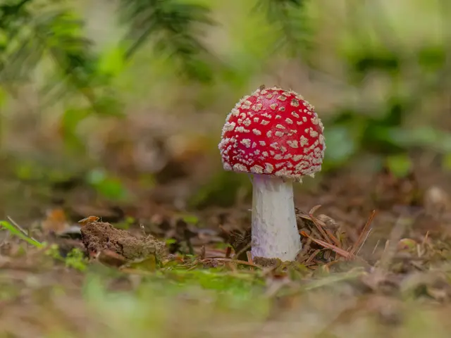 Foto: Eigenes Bild TB