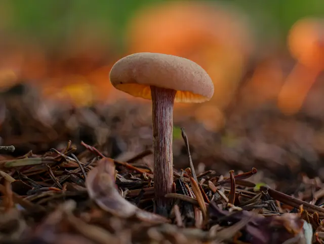 Foto: Eigenes Bild TB