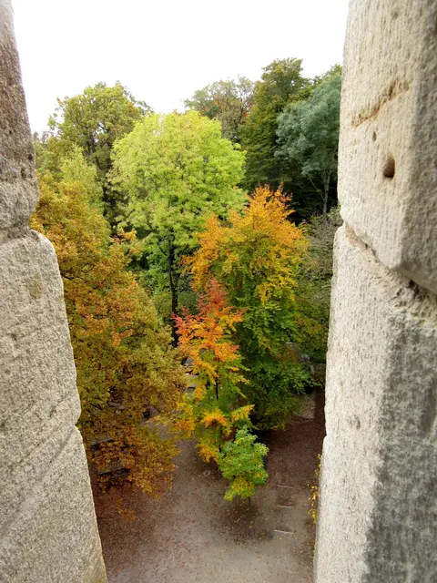 Bunter Herbstwald, der Turm, eine Art runder Waldwipfelweg | Foto: WandernGabyErich