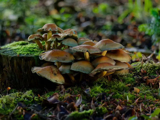 Foto: Eigenes Bild TB