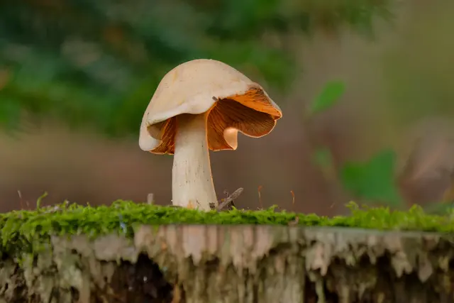 Foto: Eigenes Bild TB