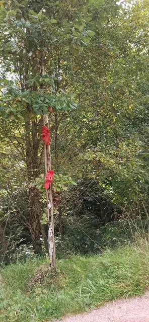Die Roten Schuhe auf der Gartenschau | Foto: Elke Essig 