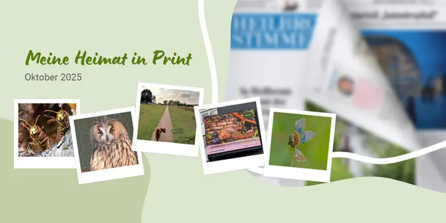 Die Mischung macht's: Auf der Meine Heimat-Seite sind die unterschiedlichsten Themen geboten. | Foto: HSt-Grafik, Uschi Dugulin, Sigrid Schlottke, Heide Böllinger, Heidrun Rosenberger, Tanja Blind