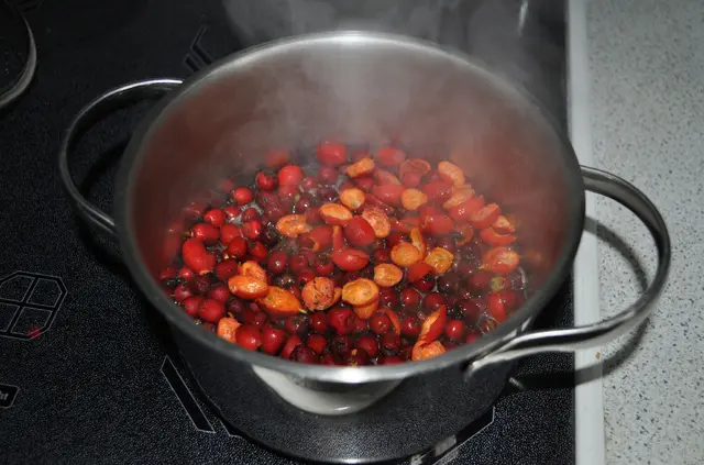 Mit wenig Wasser in den Topf und aufkochen. | Foto: Daniela Somers