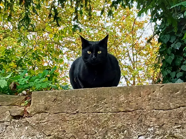 Guck mal,  wie hübsch ich bin 😊. | Foto: sigischlottke