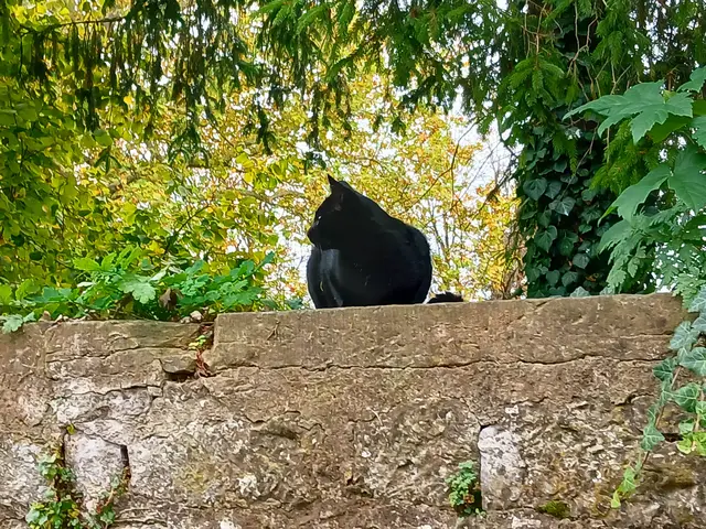 Von der Seite seh ich auch nicht schlecht aus.  | Foto: sigischlottke