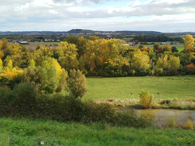 Farbenpracht | Foto: E. Rosendorf