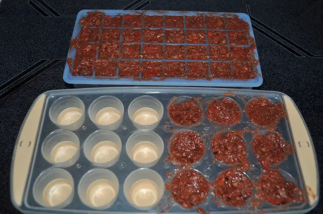 Abkühlen lassen und ab in den Gefrierschrank. Später in eine Gefriertüte umfüllen. Ist praktischer für die schnelle Entnahme. | Foto: Daniela Somers