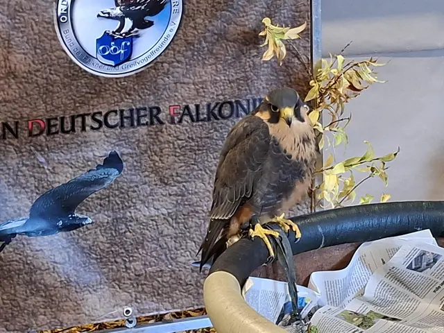 Vogelschau Untermünkheim | Foto: Ralf Röser