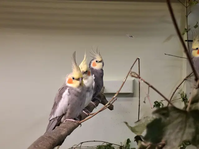 Vogelschau Untermünkheim | Foto: Ralf Röser
