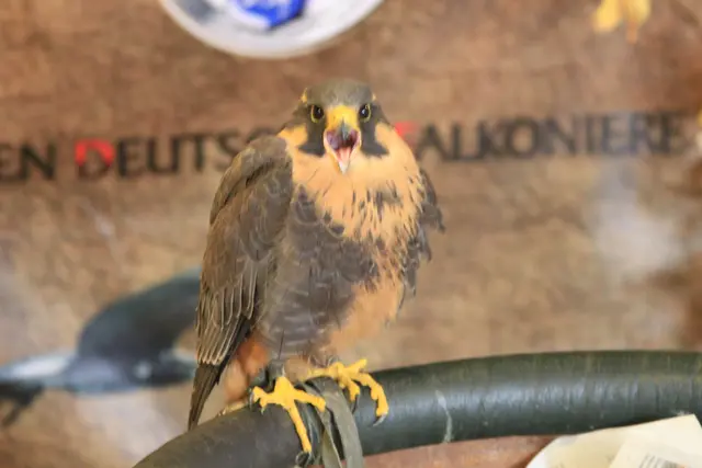 Vogelschau Untermünkheim | Foto: Ralf Röser