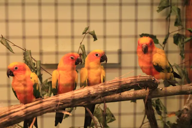 Vogelschau Untermünkheim | Foto: Ralf Röser