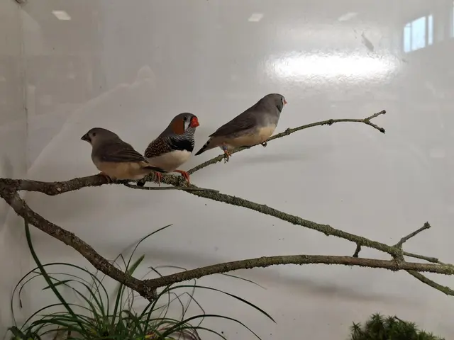 Vogelschau Untermünkheim | Foto: Ralf Röser