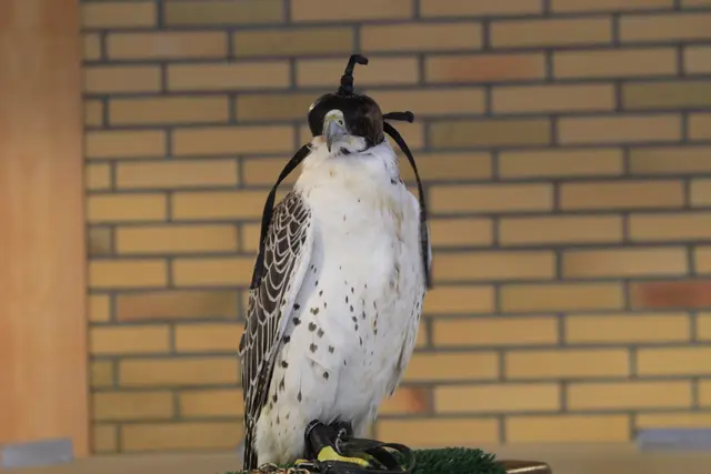 Vogelschau Untermünkheim | Foto: Ralf Röser