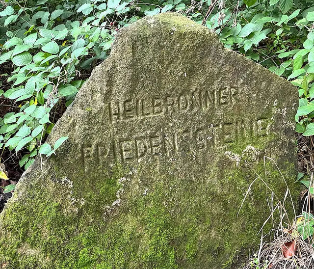 Foto: Heide Böllinger aus Bad Friedrichshall