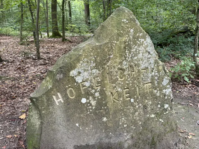 Foto: Heide Böllinger aus Bad Friedrichshall