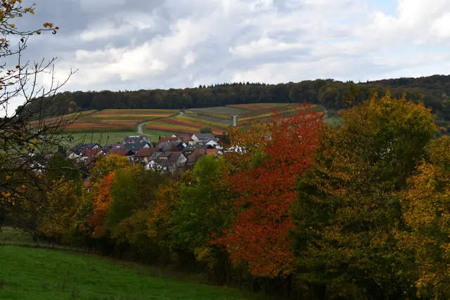 Neipperg | Foto: JuKo