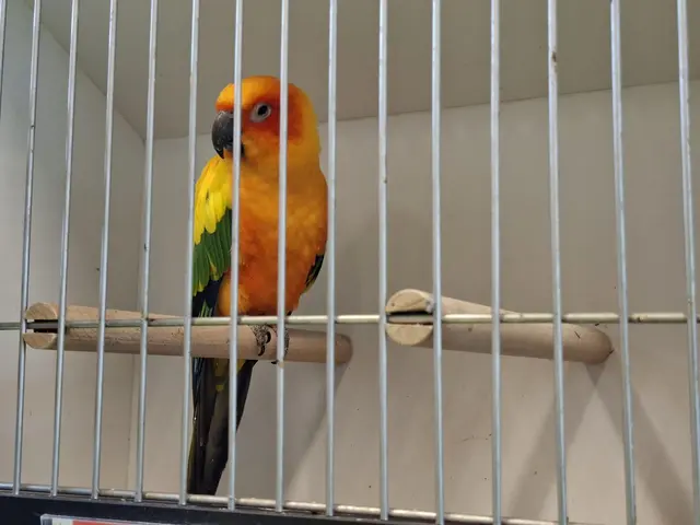 Vogelschau Untermünkheim | Foto: Ralf Röser