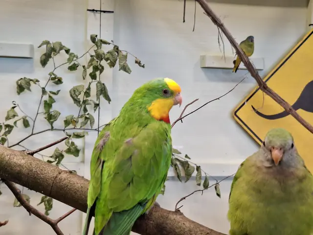 Vogelschau Untermünkheim | Foto: Ralf Röser