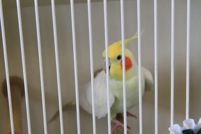 Vogelschau Untermünkheim | Foto: Ralf Röser