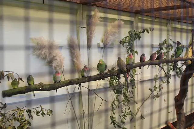 Vogelschau Untermünkheim | Foto: Ralf Röser