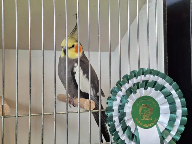 Vogelschau Untermünkheim | Foto: Ralf Röser