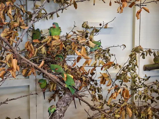 Vogelschau Untermünkheim | Foto: Ralf Röser