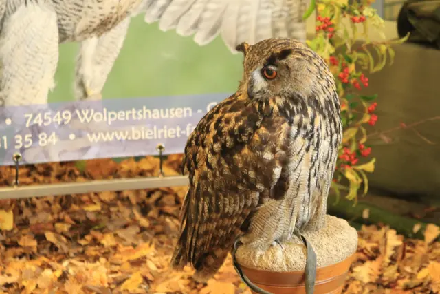 Vogelschau Untermünkheim | Foto: Ralf Röser